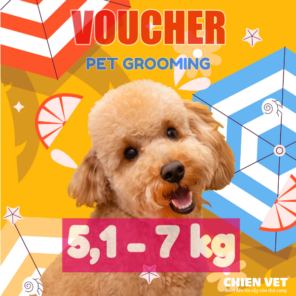 Voucher tắm và cắt tỉa lông cho chó từ 5,1kg đến 7kg