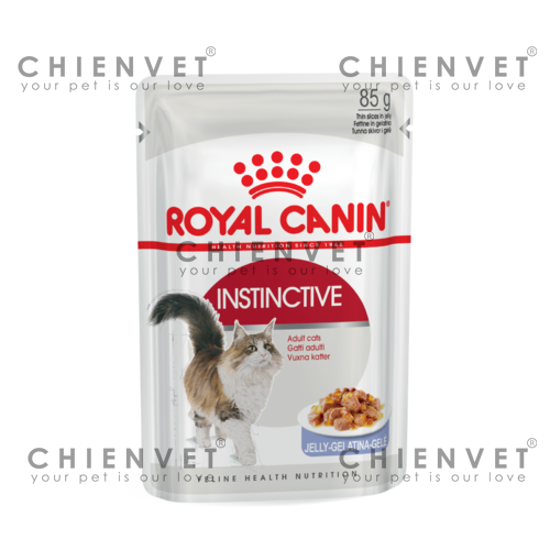Pate cho mèo - Royal Canin Instinctive Jelly 85G