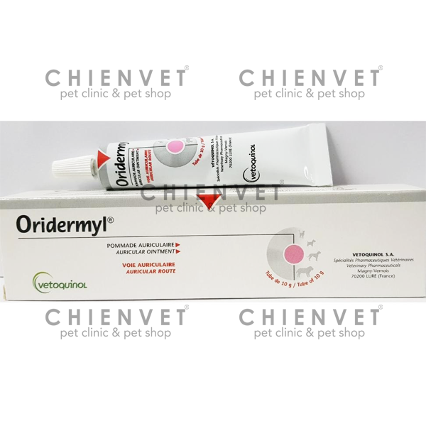 Oridermyl 10g - Thuốc bôi dạng mỡ