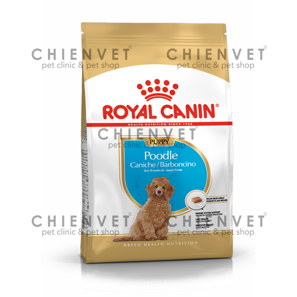 Royal Canin Poodle Puppy (dành cho chó poodle dưới 10 tháng tuổi)