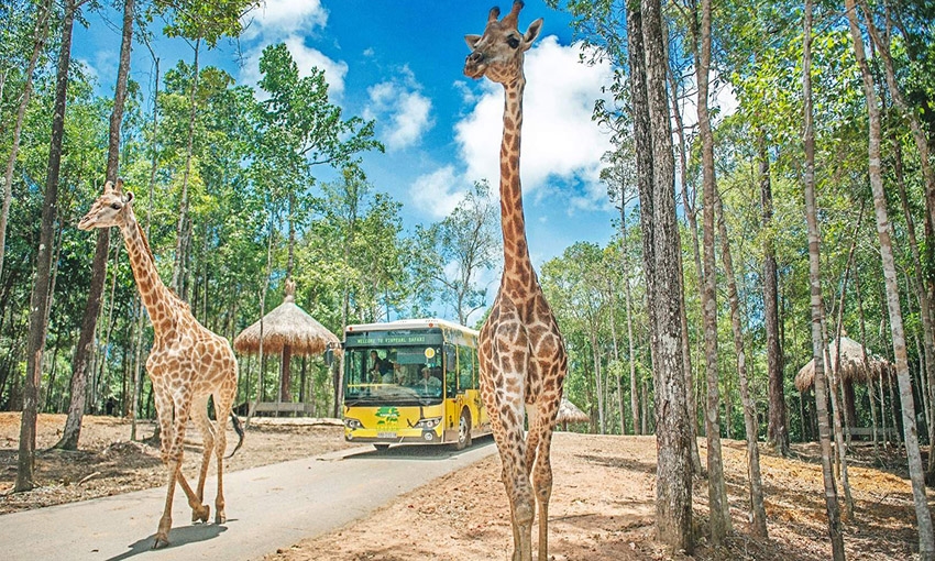 HÀ NỘI - PHÚ QUỐC - RÁCH GIÁ - HỒ CHÍ MINH (4 NGÀY 3 ĐÊM)