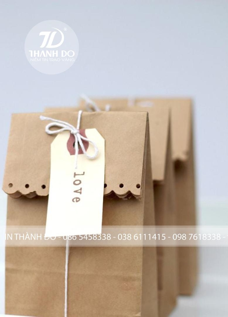 Ảnh 1: Túi giấy xi măng để gói quà ( In Thành Đô)