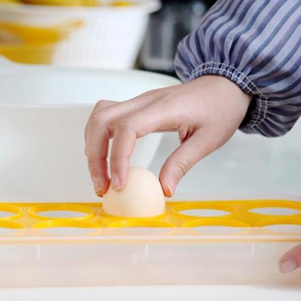 Khay đựng trứng 10 ngăn có nắp đậy