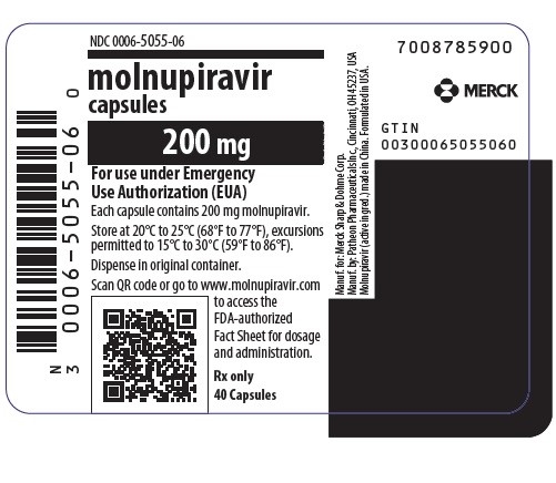 molnupiravir