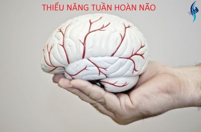 thieu-nang-tuan-hoan-nao-dinh-nghia-trieu-chung-va-chan-doan