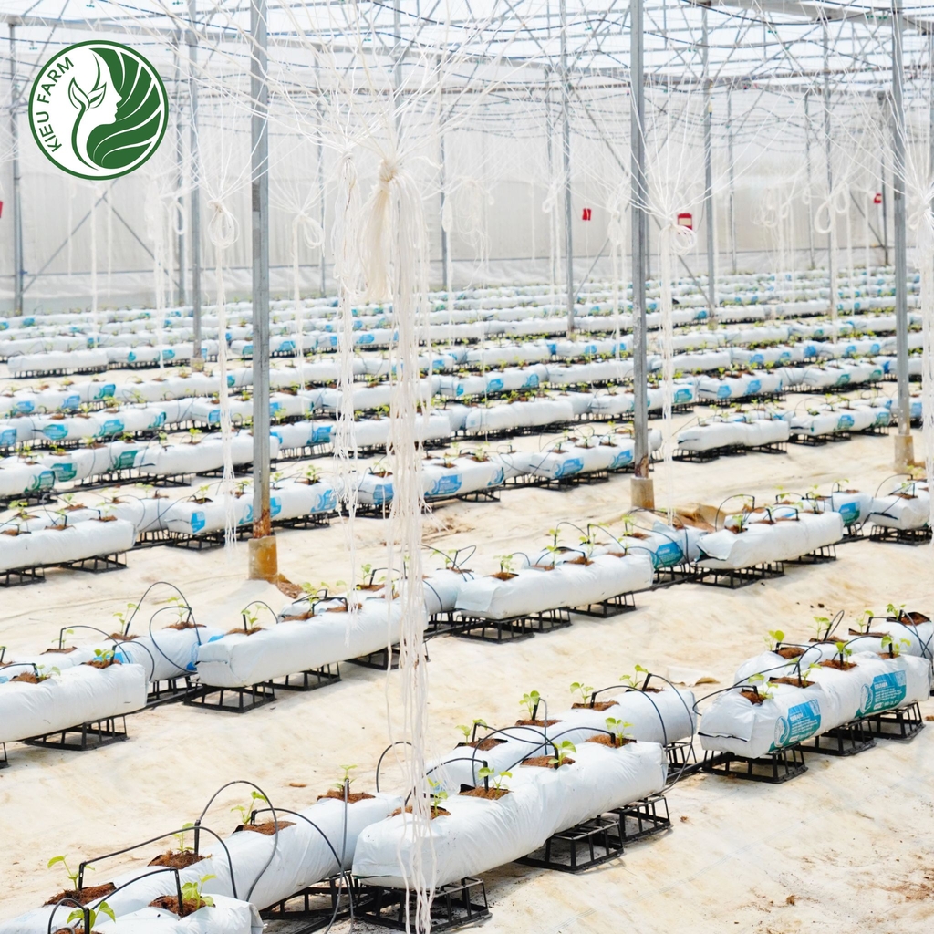 thanh gia the growbag keiufarm