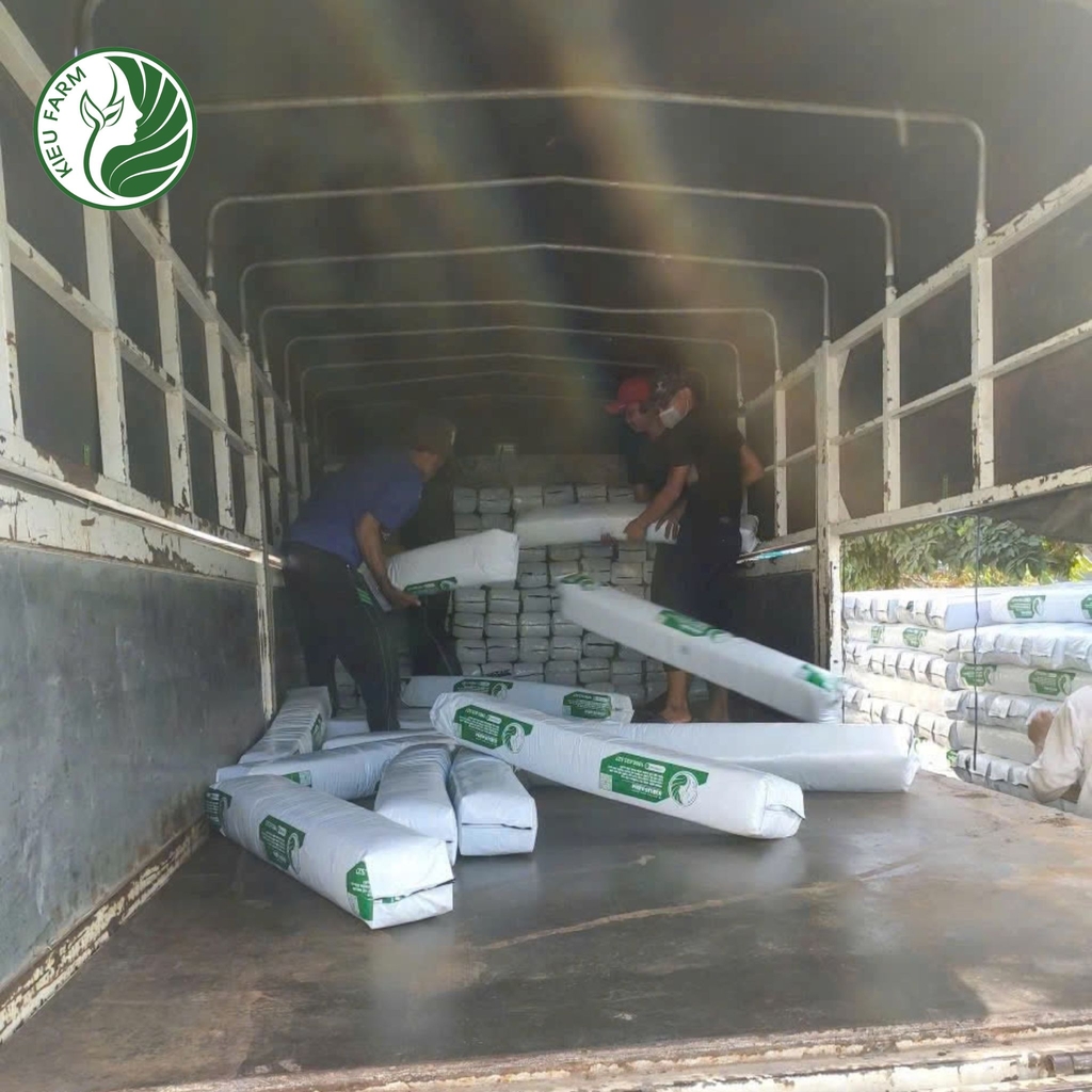 thanh xo dua kieufarm