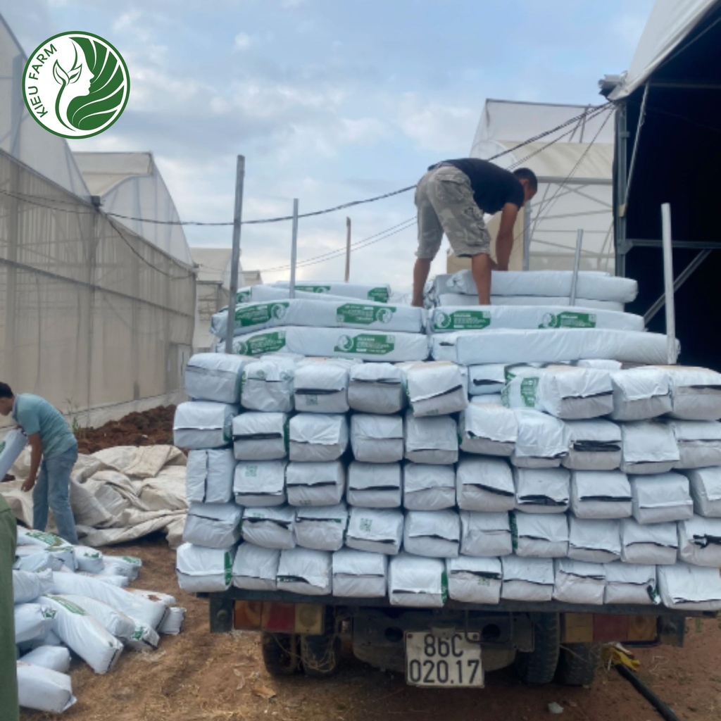 thanh gia the trong cay kieufarm