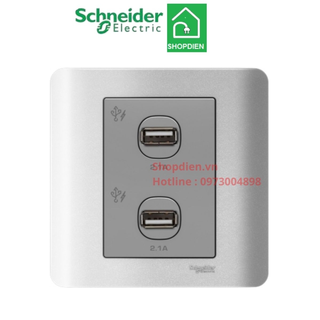 Ổ cắm sạc USB đôi Schneider Zencelo màu xám bạc E8432USB_SA_G19