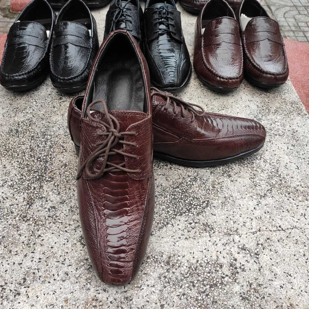 Giày đà điểu. Giày tây có buộc dây đẹp Sang trọng!