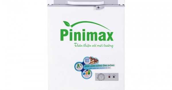Tủ đông Sanaky - Pinimax PNM-15AF 100 lít