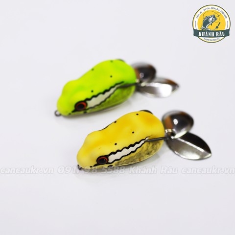 Chuột Sóc Hơi Thái Lan