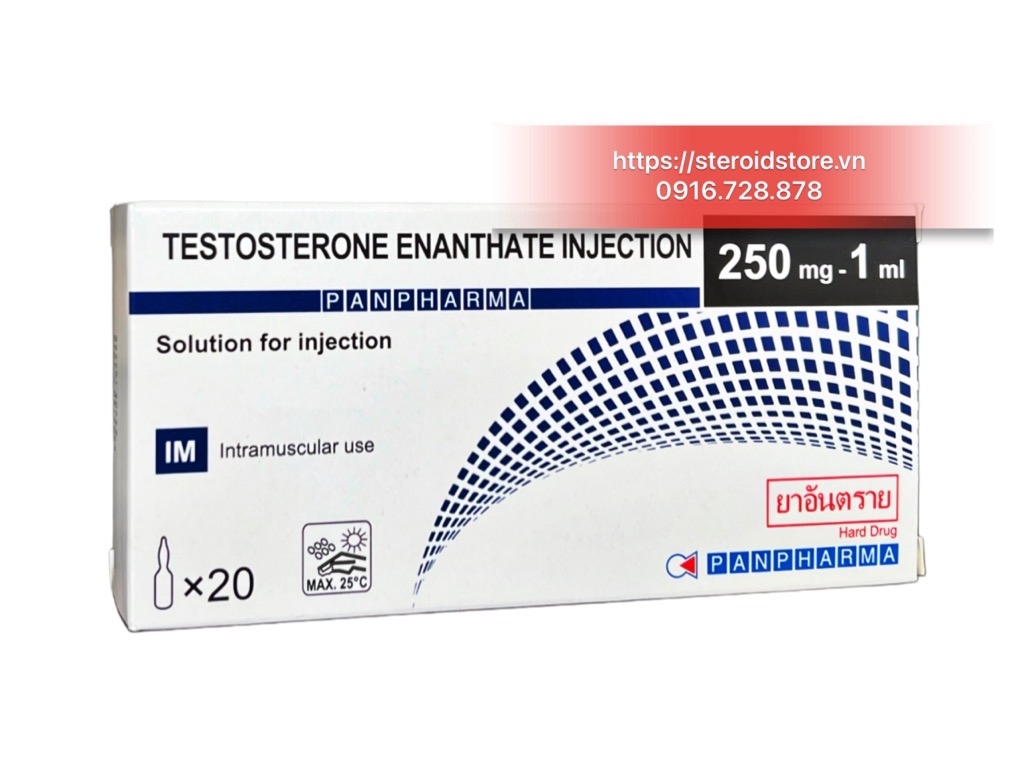Test E 250 Pan Pharma ( Testosterone Enantate 250mg/ml) - Hộp 20 Ống
