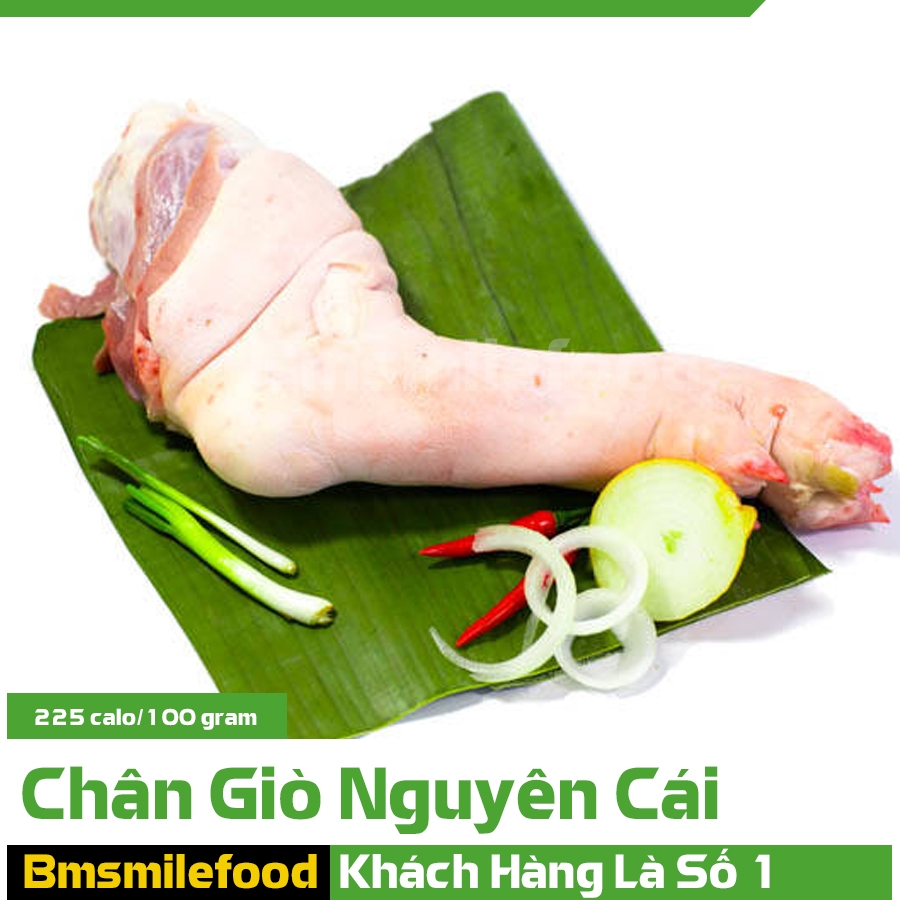 Chân Giò Heo Tươi VN ( nguyên cái tầm 1,6 - 2kg )
