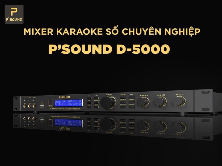 Dàn Karaoke Gia Đình Chuyên Nghiệp DMA090