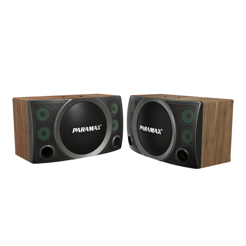 Loa karaoke Paramax SC-2500