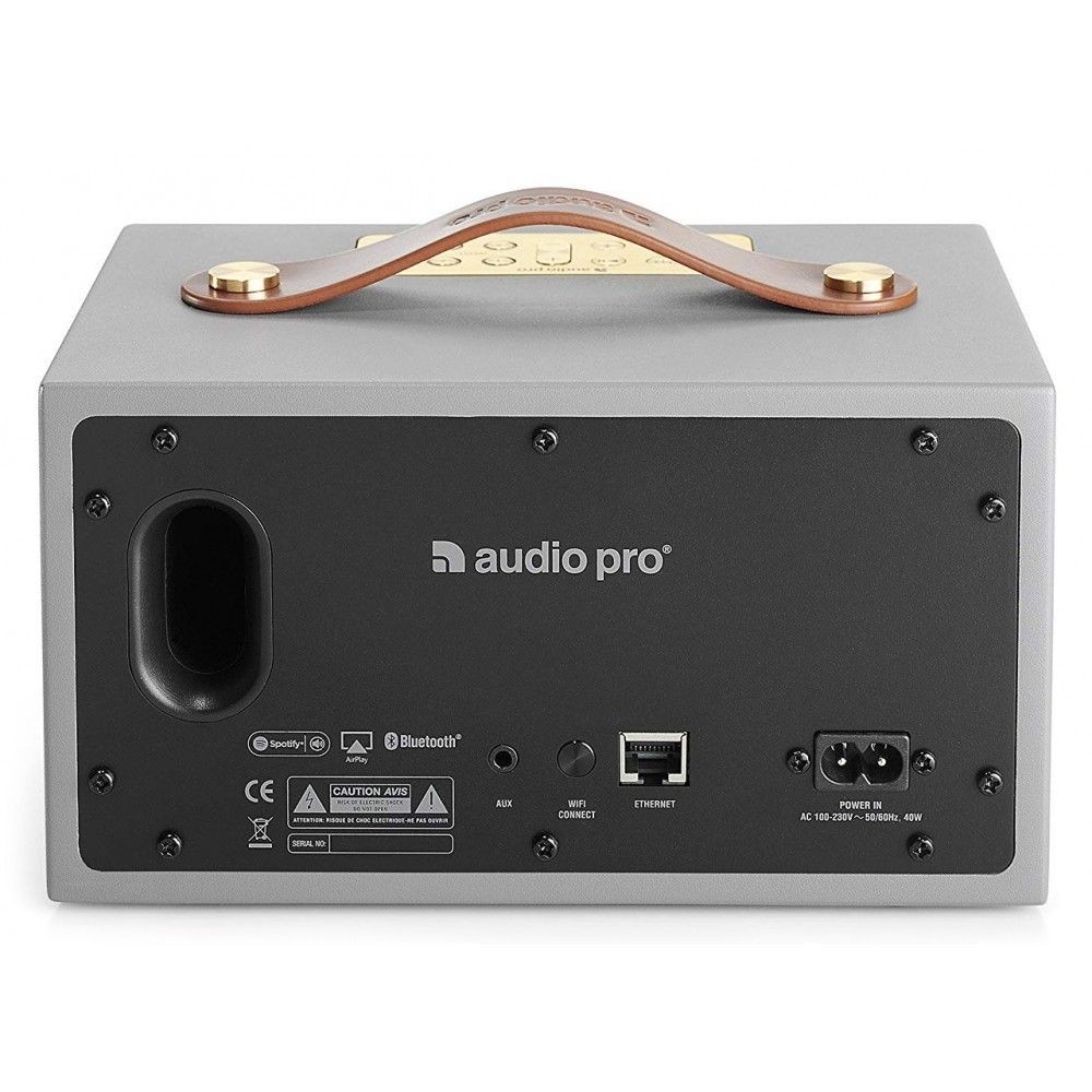 Loa nghe nhạc Audio Pro Addon C3