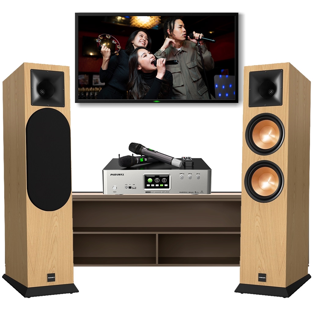 dan-karaoke-paramax-dma204 dan-karaoke-paramax-dma204