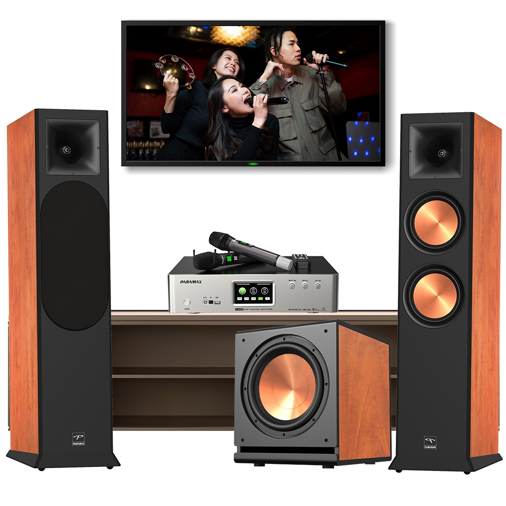 dan-karaoke-paramax-dma205 dan-karaoke-paramax-dma205