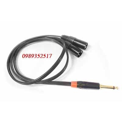 Dây 6.3mm to 2 Canon XRL Đực 1.2m