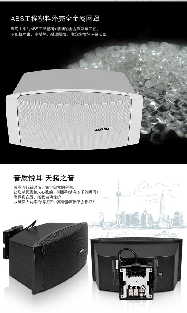 BOSE DS-100SE (CHINA)