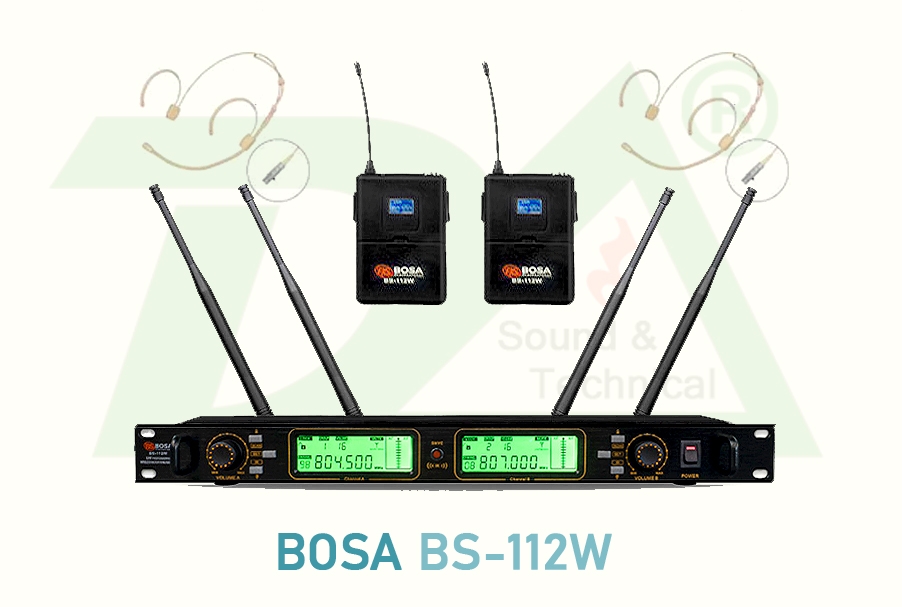 BOSA BS112W Dual Channel Professional