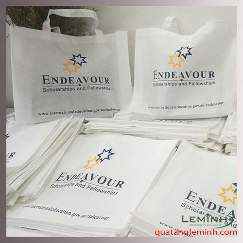 Túi vải không dệt  - Endeavour