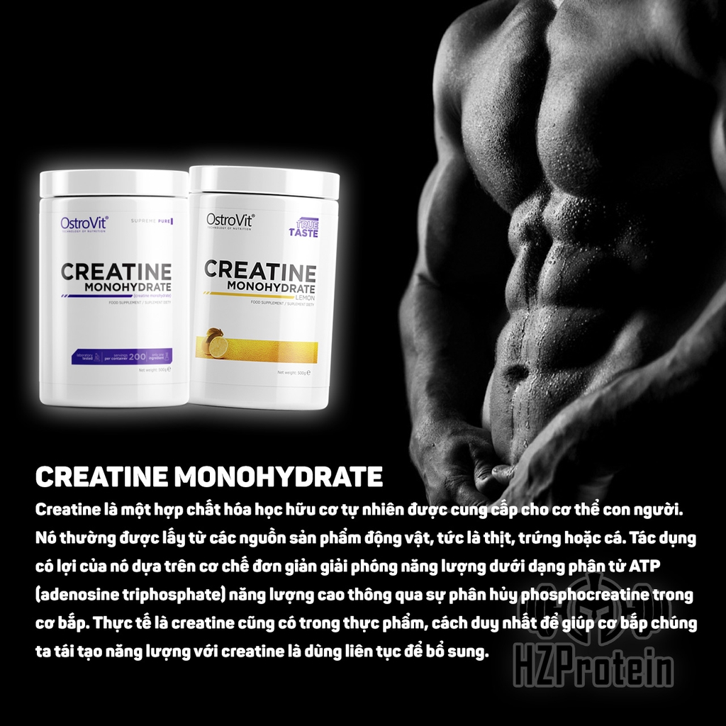 OSTROVIT CREATINE 500g (100 LẦN DÙNG)