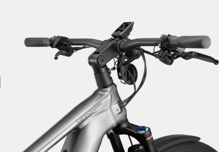 Xe điện Cannondale & Bosch Tesoro Neo X Speed - 2021 Edition