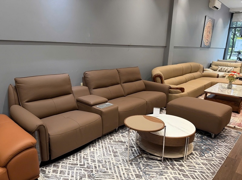 Sofa Nhập Khẩu Hiện Đại 1038T