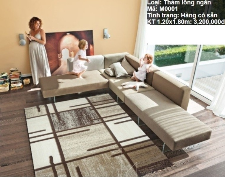 Thảm Lót Sofa M0001