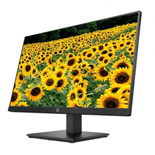 Màn hình HP P244 23.8