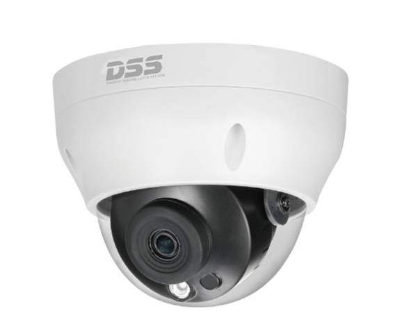 Camera IP Dome hồng ngoại 4.0 Megapixel DAHUA DS2431RDIP-S2