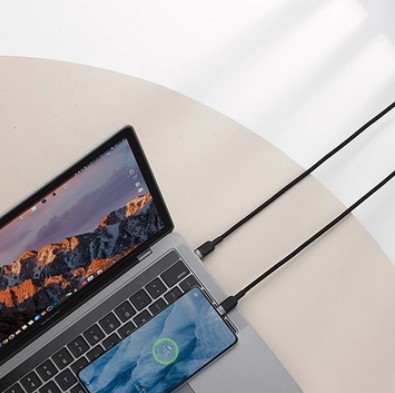 Cáp Rapoo USB-C to C 2m PD100