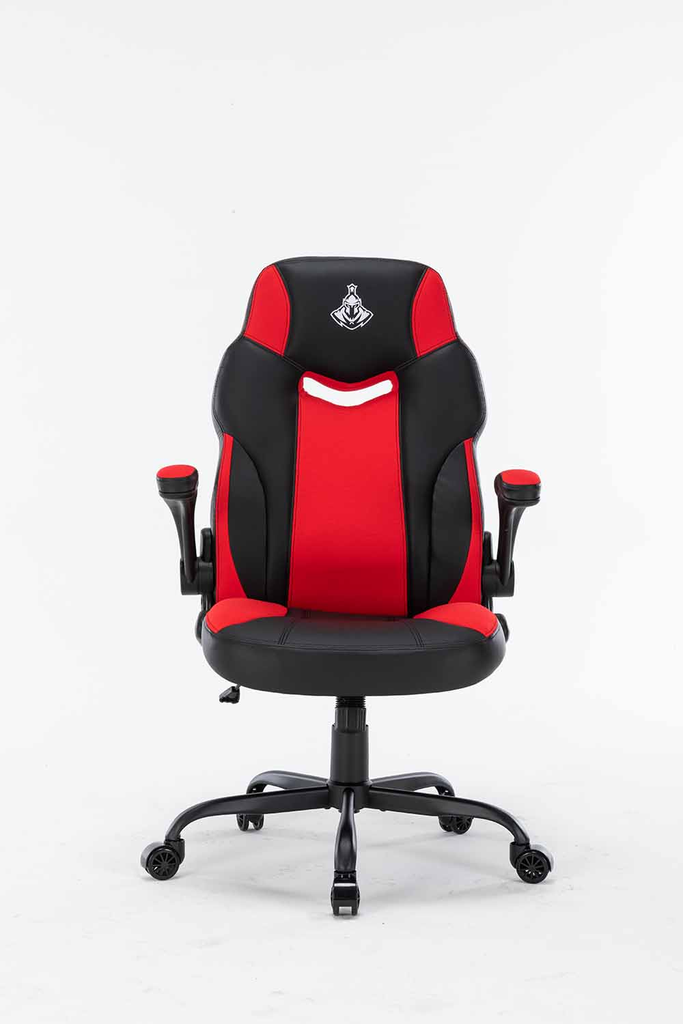 WARRIOR GAMING CHAIR - Raider Series - WGC203 - (Black hoặc Black / Red)
