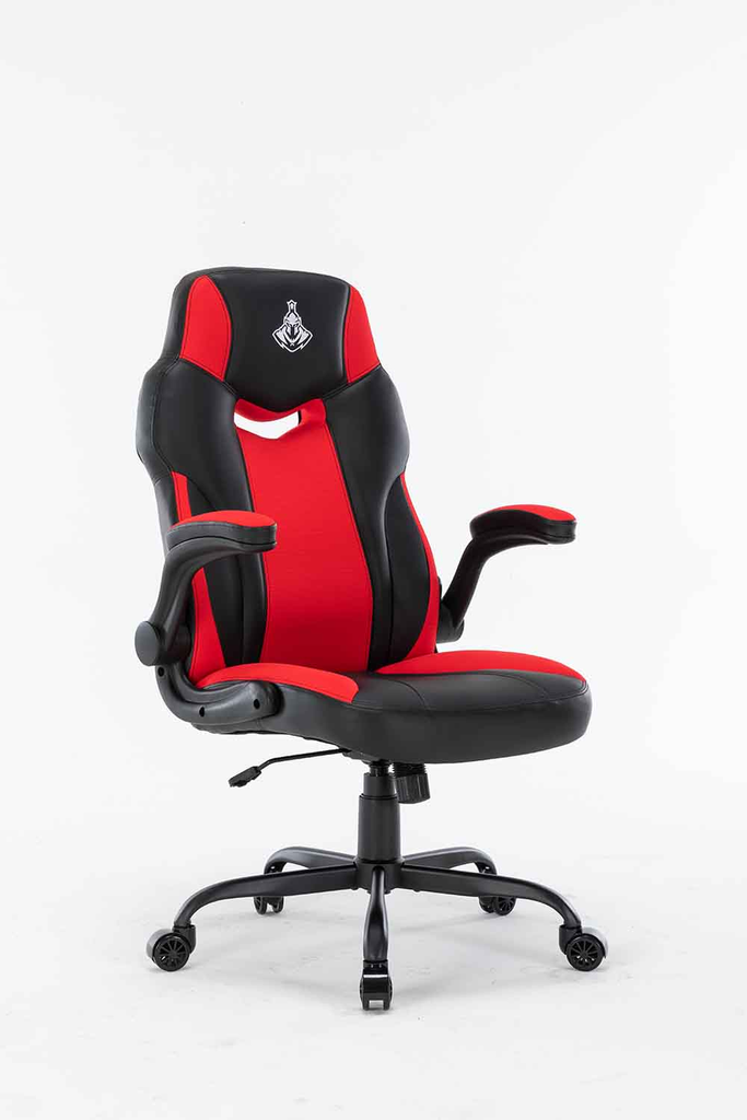 WARRIOR GAMING CHAIR - Raider Series - WGC203 - (Black hoặc Black / Red)