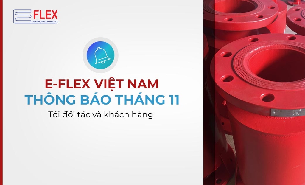 E-Flex Viet Nam thong bao thang 11