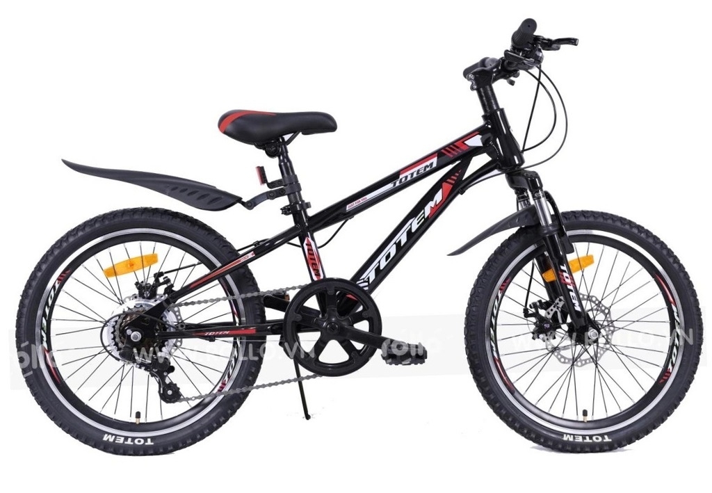Xe trẻ em Totem 719 - 20 - bike2school.vn