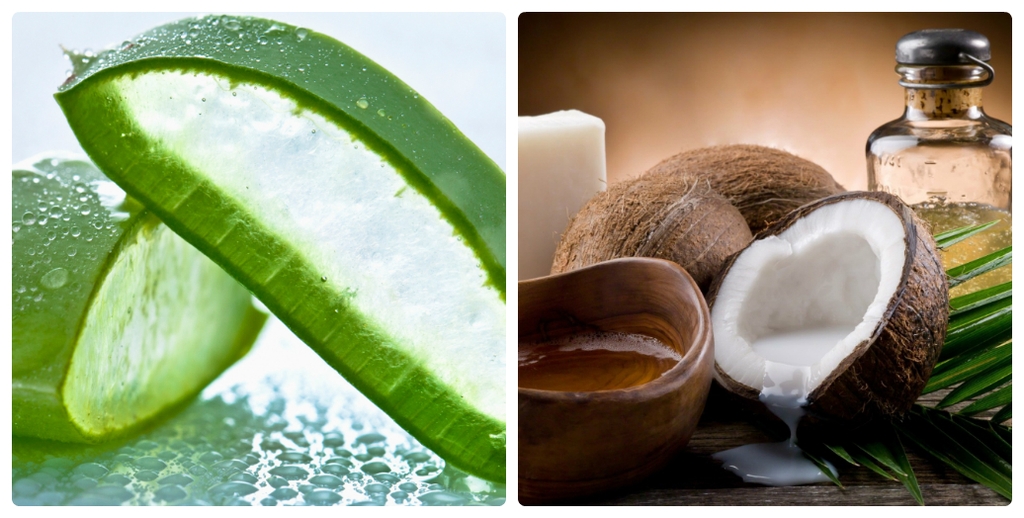 Nguyên liệu làm mặt nạ trị mụn từ nha đam và dầu dừa