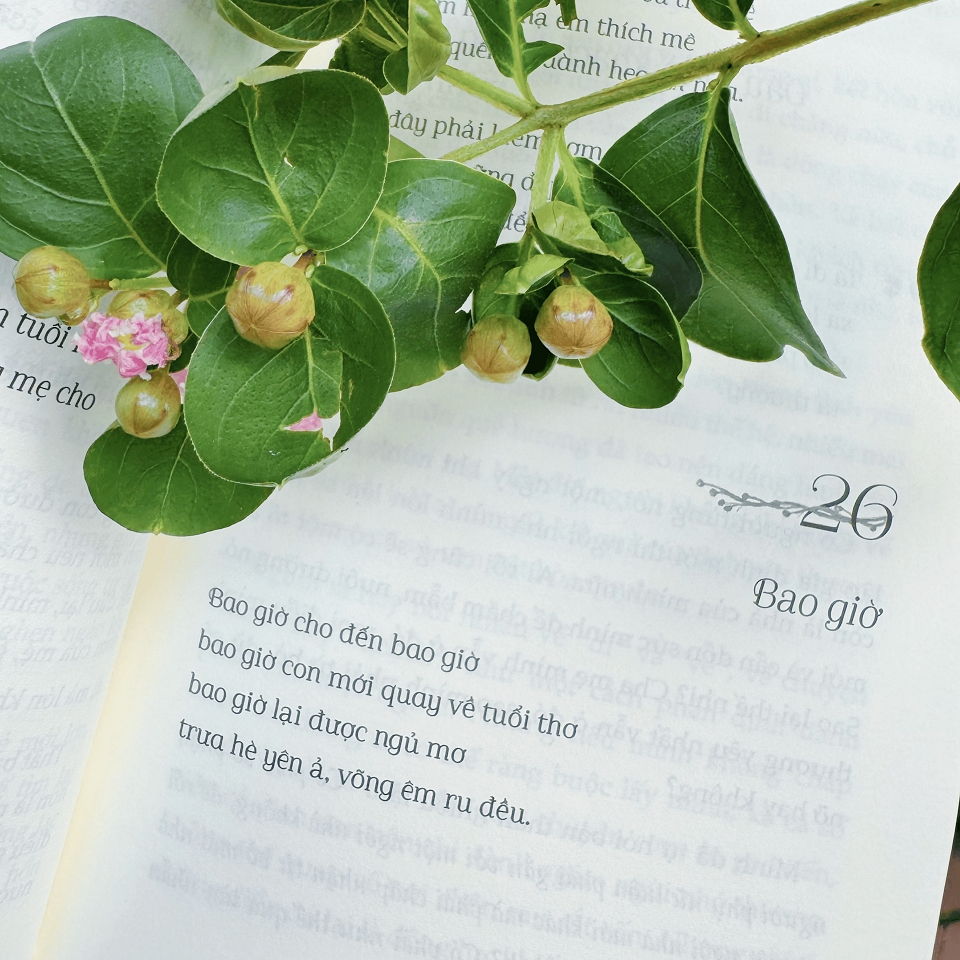 Sách - Vườn Nhà Có Nắng Trong Lòng Nở Hoa