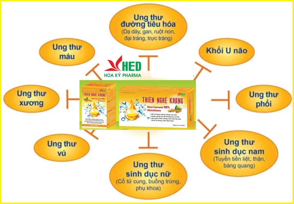 Thiên Nghệ Khang Hỗ trợ Tăng cường hệ miễn dịch Chống oxy hóa Giảm Viêm loét dạ dày hành tá tràng viêm đại tràng giảm tác dụng phụ của hóa trị xạ trị giảm nguy cơ mắc khối u lành vết thương Nines's Beauty Nines Beauty