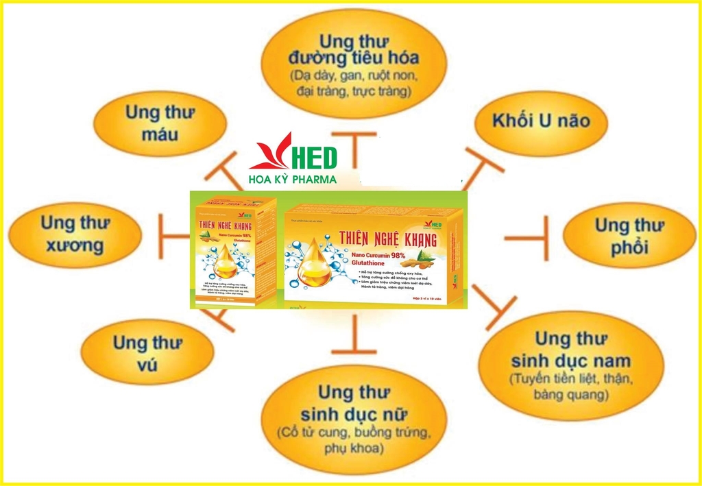 Thiên Nghệ Khang Hỗ trợ Tăng cường hệ miễn dịch Chống oxy hóa Giảm Viêm loét dạ dày hành tá tràng viêm đại tràng giảm tác dụng phụ của hóa trị xạ trị giảm nguy cơ mắc khối u lành vết thương Nines's Beauty Nines Beauty