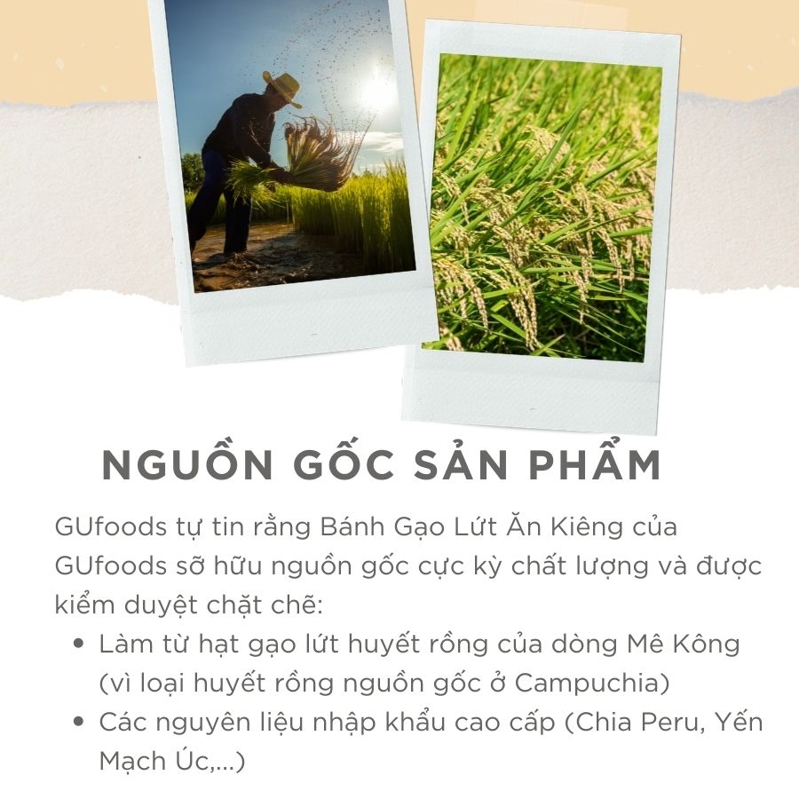 Bánh gạo lứt ăn kiêng GUfoods - Combo Mix 3 vị Hữu cơ, Hạt Diêm mạch, Cỏ ngọt (510g)