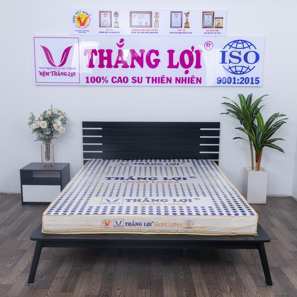nệm cao su non thắng lợi