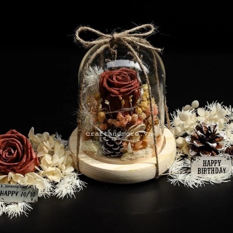 Hoa khô không tàn, hoa vĩnh cửu