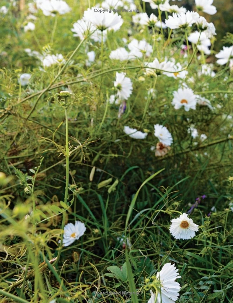 In Full Flower: Inspired Designs by Floral's New Creatives