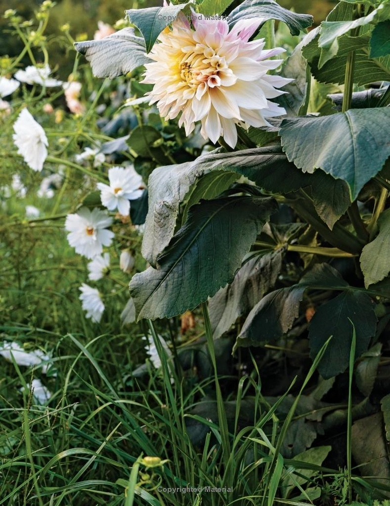 In Full Flower: Inspired Designs by Floral's New Creatives