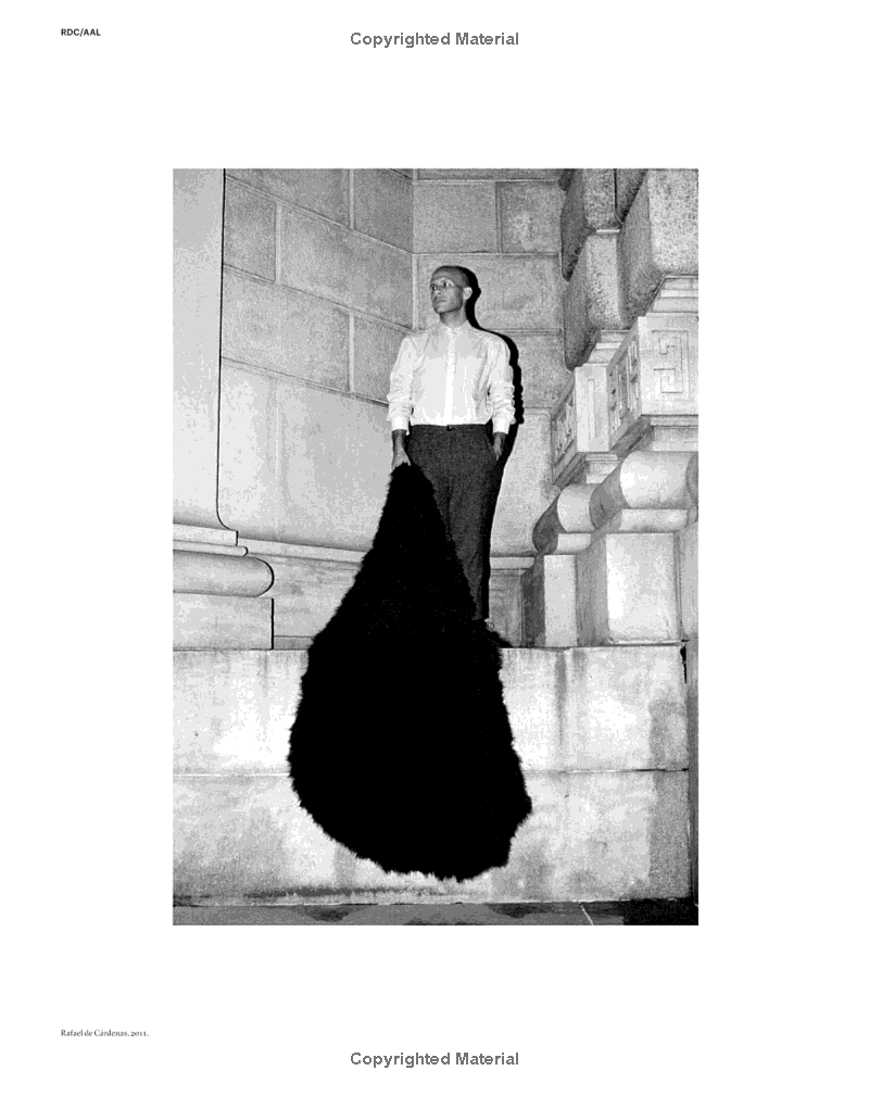 Rafael de Cárdenas/Architecture at Large: RDC/AAL