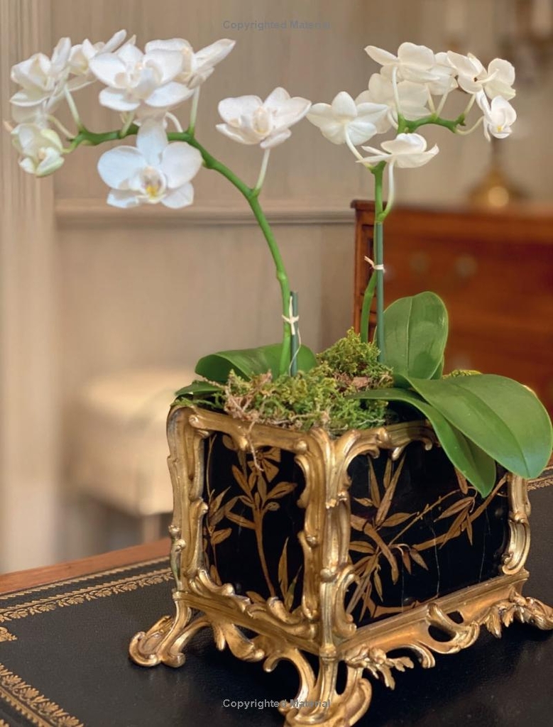 Charlotte Moss Flowers