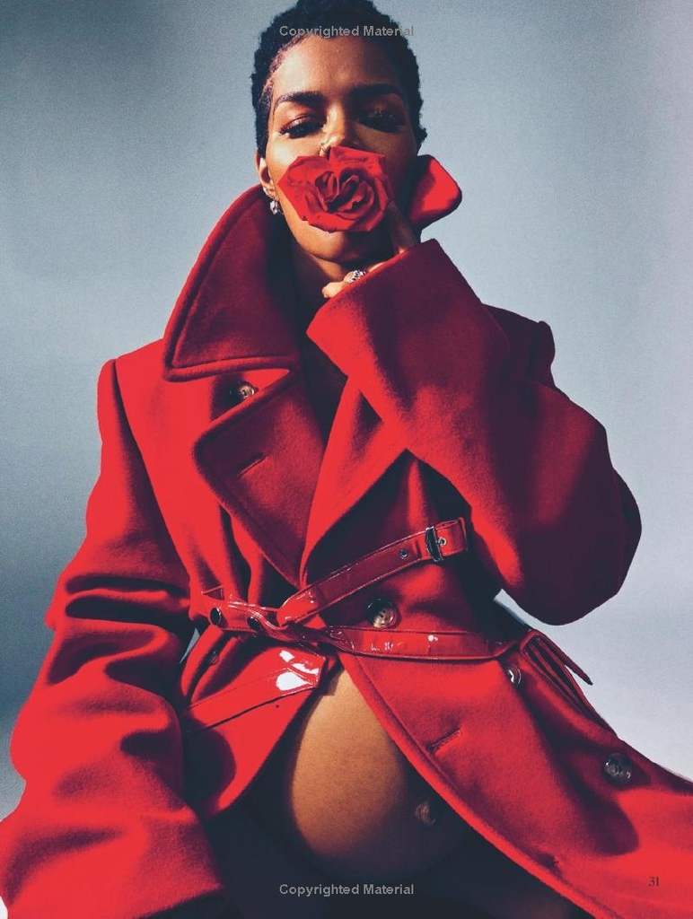 Fantasies: Carine Roitfeld Fashion Book